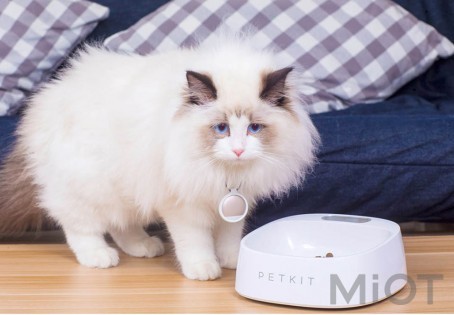 Розумна Антибактеріальне миска з цифровими вагами Xiaomi PETKIT Fresh P510 White