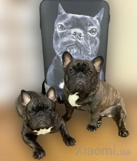 Защитный чехол для чемодана MiUi Black Dog size L for suitcase 24-26"