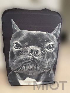Захисний чохол для валізи MiUi Black Dog size M for suitcase 22-24"