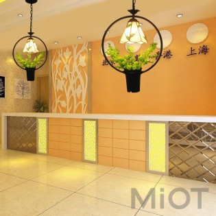 Люстра на 1 плафон MOAAN Mediterranean Creative Potted Leaves (9001)