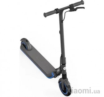 Электросамокат Xiaomi Ninebot by Segway E10 (AA.00.0002.32)