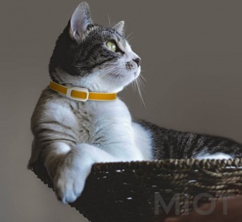 Нашийник від бліх та кліщів для котів Xiaomi Ohh! Essential Oil Collar Orange 33 cm