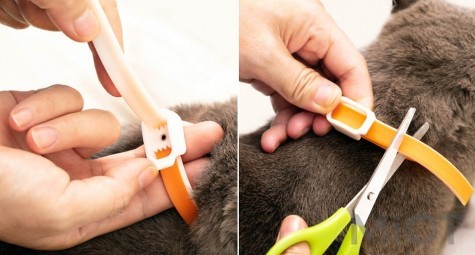Нашийник від бліх та кліщів для котів Xiaomi Ohh! Essential Oil Collar Orange 33 cm