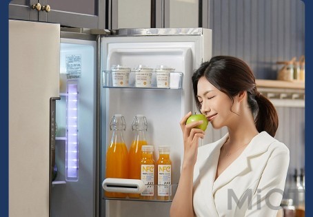 Дезодорирующий стерилизатор для холодильников Xiaomi EraClean Max White CW-BS01