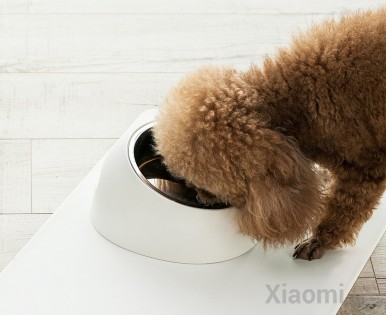 Миска для домашних животных Xiaomi JORDAN & JUDY Pet Plastic Feeding Double Bowl JJ-PE0022
