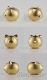 Копилка Xiaomi piggy bank Gold