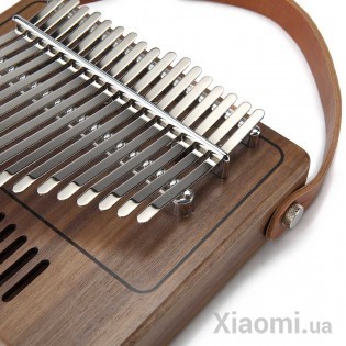 Каримба Xiaomi TOM 17
