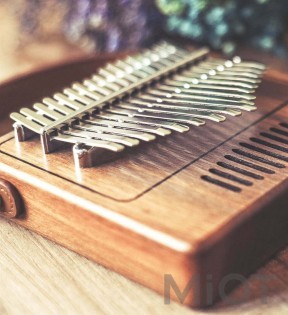 Карімбо Xiaomi TOM 17