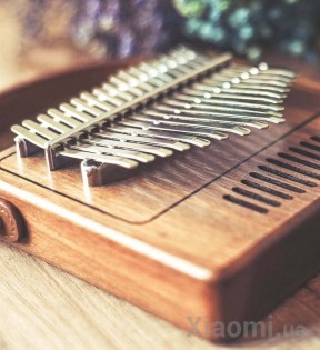 Каримба Xiaomi TOM 17
