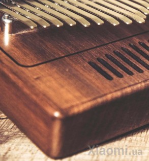Каримба Xiaomi TOM 17