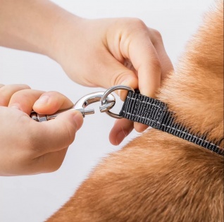 Повідець для собак Xiaomi Jordan-Judy Pet Retractable Rope 5m (PE042)
