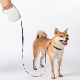 Повідець для собак Xiaomi Jordan-Judy Pet Retractable Rope 5m (PE042)