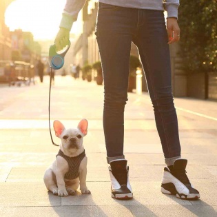 Поводок для собак Xiaomi PETKIT GO SHINE Max (P2102) 4.7 м