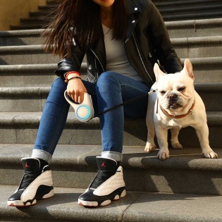 Поводок для собак Xiaomi PETKIT GO SHINE Max (P2102) 4.7 м