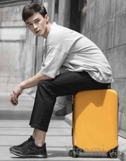 Чемодан Xiaomi Runmi 90 Ninetygo Iceland TSA-lock Suitcase 24" Yellow (6972125143419)