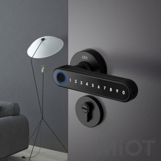 Розумний дверний замок Xiaomi Mi Home (Mijia) OLA Mars Oi3-M1M