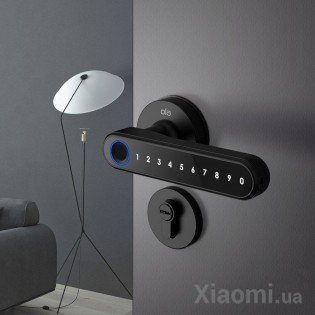 Умный дверной замок Xiaomi Mi Home (Mijia) OLA Mars Oi3-M1M