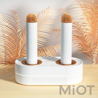 Розумний музичний автомат Xiaomi Pure wheat K2
