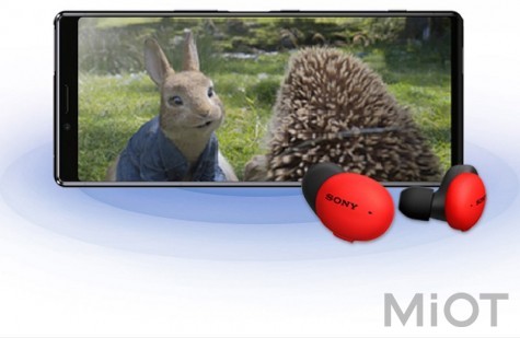 Бездротові навушники Sony (WF-H800)