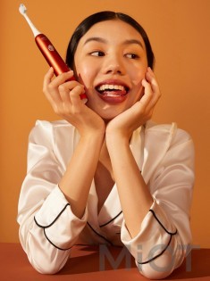 Електрична зубна щітка Xiaomi Soocas X3U Van Gogh Museum Design Sonic Electric Toothbrush Chesnut Red