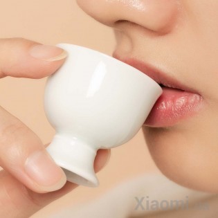 Чайный сервиз Xiaomi Sign Yanwen Moon 150ml White