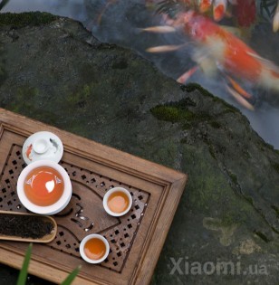 Традиционный красный китайский чай Qingyi Beauty Lapsang souchong 60 г