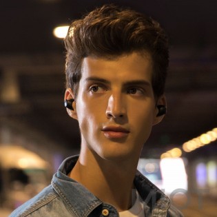 Бездротові навушники TWS XIAOMI Haylou T16 ANC Bluetooth Earbuds Black HAYLOU-T16
