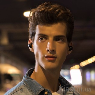 Беспроводные наушники TWS XIAOMI Haylou T16 ANC Bluetooth Earbuds Black HAYLOU-T16