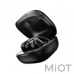 Бездротові навушники TWS Xiaomi Haylou T17 TWS Bluetooth Earbuds Black (HAYLOU-T17)