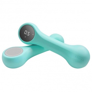 Умные гантели Xiaomi Move It Beat 1.0 кг Mint Green (MVDB0013)