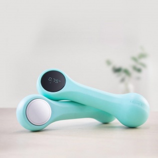Умные гантели Xiaomi Move It Beat 1.0 кг Mint Green (MVDB0013)