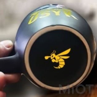 Офіційна чашка від Олександра Усика та команди RTF 330 мл MUG (MUG-BLYL-RTF)