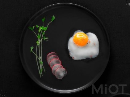 Індукційна плита Mi Home (Mijia) Cooker DLC01CM