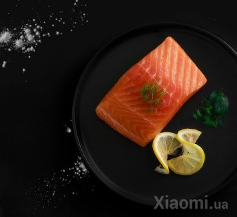 Индукционная плита Mi Home (Mijia) Cooker DLC01CM