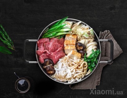 Индукционная плита Mi Home (Mijia) Cooker DLC01CM
