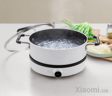 Индукционная плита Mi Home (Mijia) Cooker DLC01CM