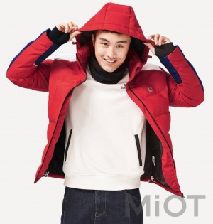 Куртка Xiaomi Uleemark warm down jacket Men Red XL