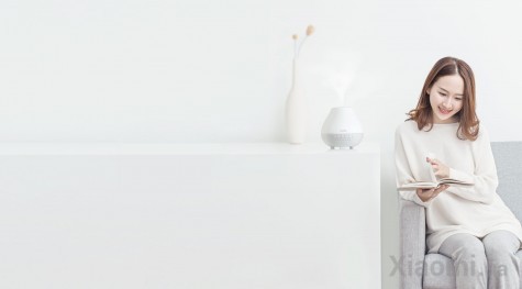 Увлажнитель Xiaomi Viomi Aromatherapy Diffuser Ultrasonic Humidifier DH-JS01S