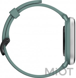Розумний годинник Xiaomi Amazfit GTS 2 mini Sage Green