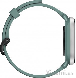 Умные часы Xiaomi Amazfit GTS 2 mini Sage Green