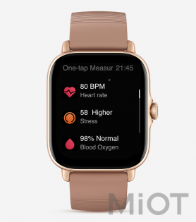 Розумний годинник Xiaomi Amazfit GTS 3 Terra Rosa