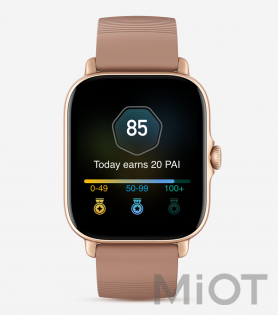 Розумний годинник Xiaomi Amazfit GTS 3 Terra Rosa