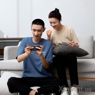 Беспроводные наушники Xiaomi Baseus Bowie Series E8 Black