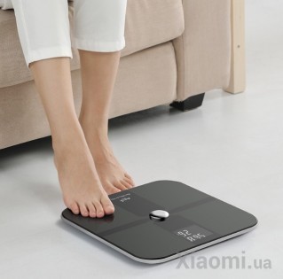 Умные весы Xiaomi Deerma Black LP772