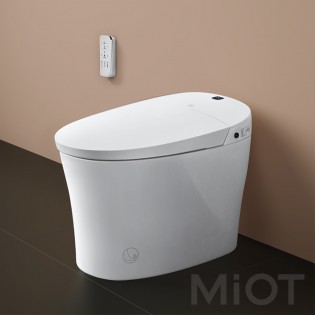 Розумний унітаз Xiaomi DiiiB DXMT001-305 White