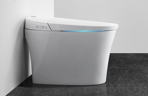 Розумний унітаз Xiaomi DiiiB DXMT001-305 White