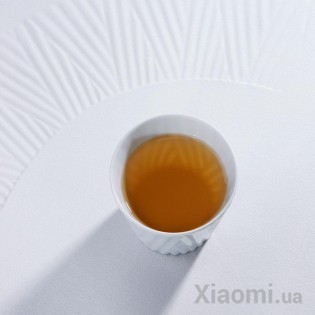 Фарфоровые чашки Xiaomi D.Lab Oda Ceramics 2pcs White