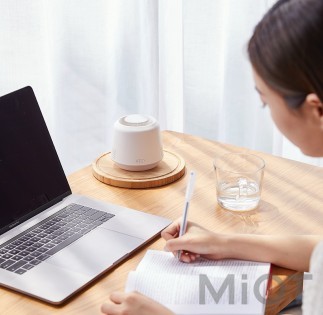 Лампа від комарів Xiaomi (DYT-X6) White