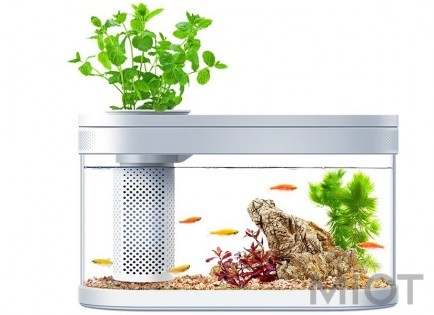 Акваріум Xiaomi Descriptive Geometry Eco Fish Tank Pro White HF-JHYJ007 382*166*229mm