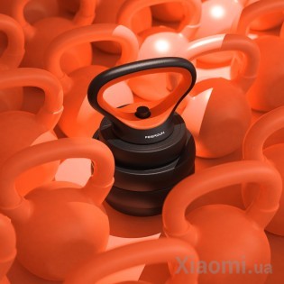 Многофункциональный домашний фитнес-набор Xiaomi FED (FED-1302)